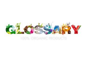 Online store "Glossary"