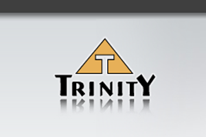 Online store "Trinity"